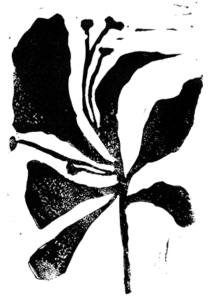 A block print of a plant with broad leaves in silhouette.